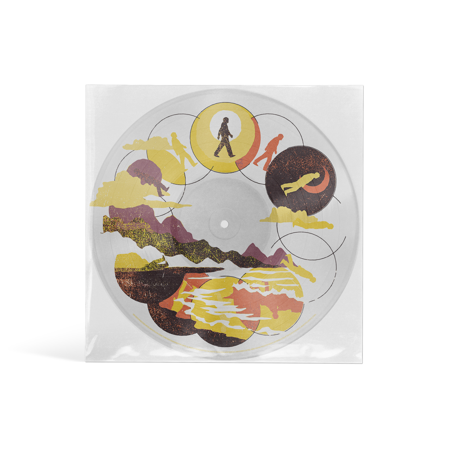How Did I Get Here? Picture Disc back