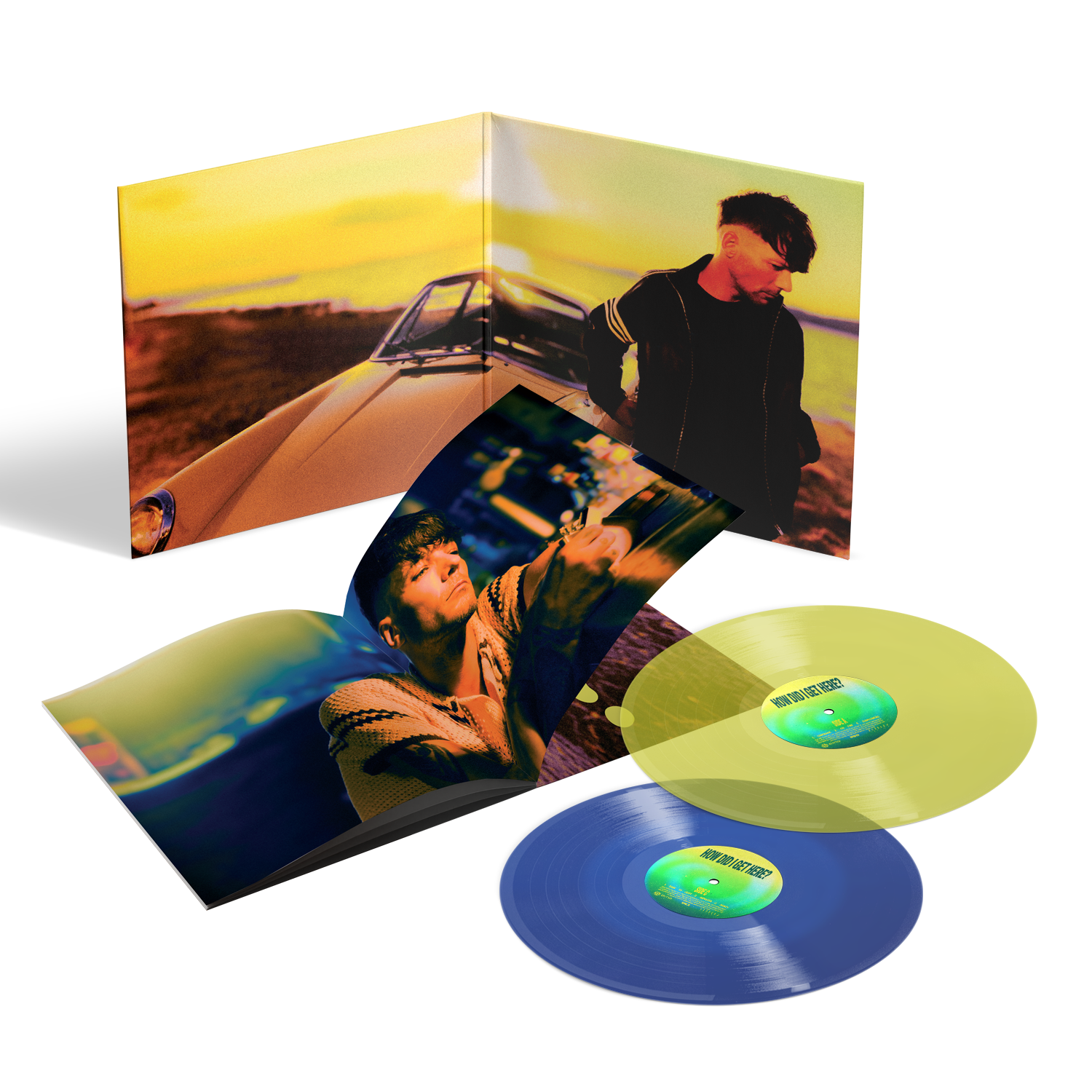 How Did I Get Here? Deluxe Double Vinyl 3