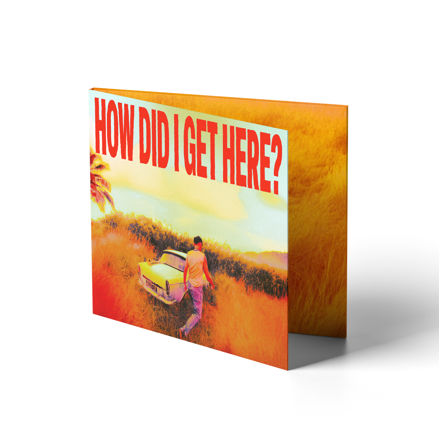 How Did I Get Here? CD 2